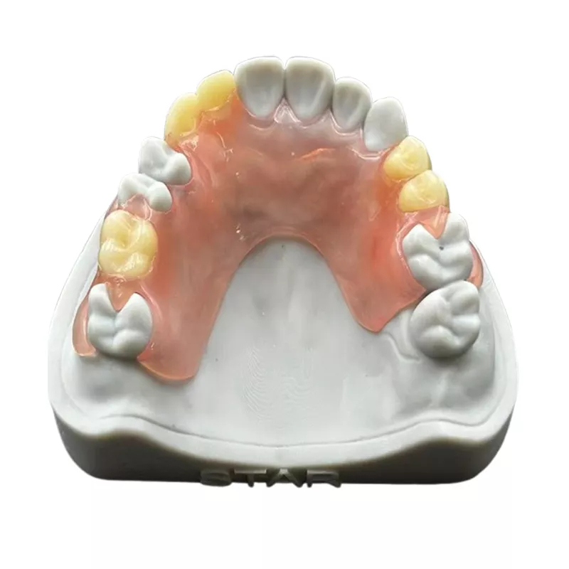 Removable-Partial Acrylic Denture Factory