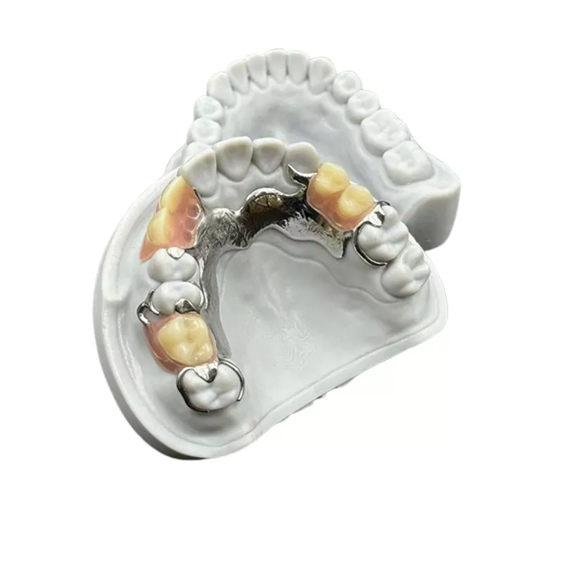 Removable-Partial Acrylic Denture Factory