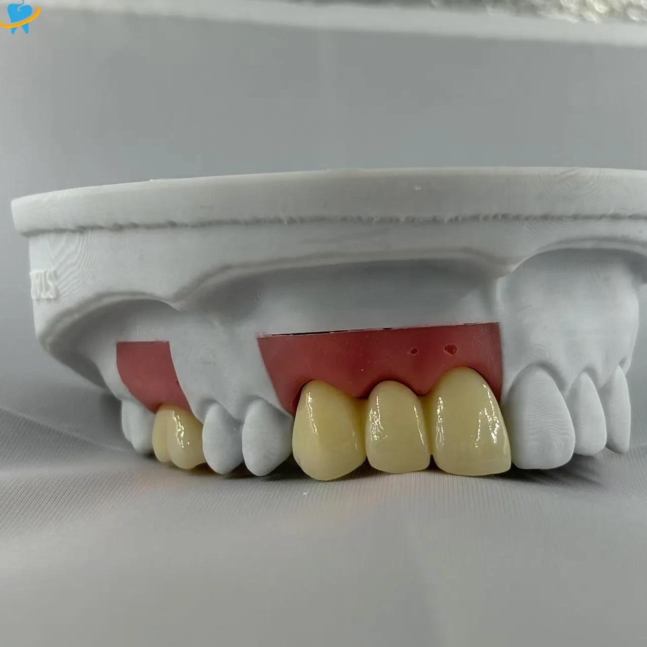 Realistic Full Zirconia Implant Crowns Manufacturer