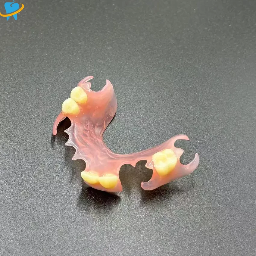 Custom Wholesale Removable-Valplast Manufacturer