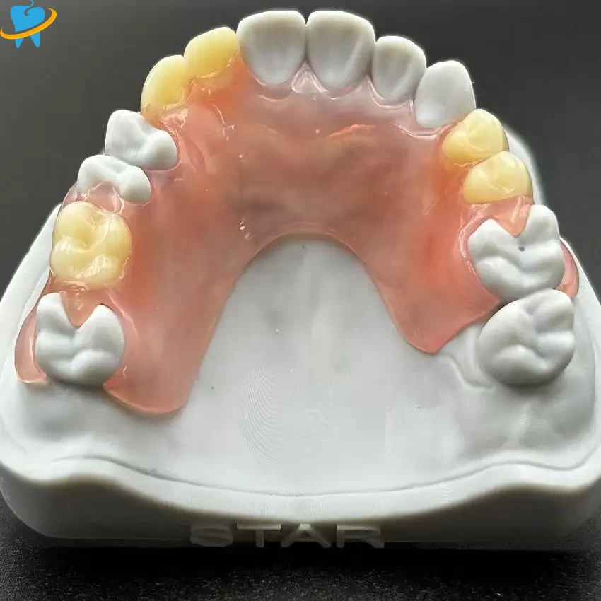 Custom Wholesale Removable-Valplast Manufacturer