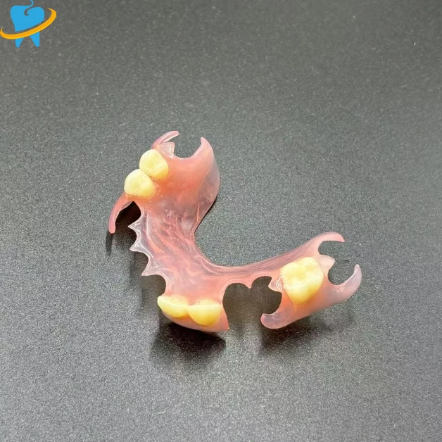 Removable-valplast Manufacturer
