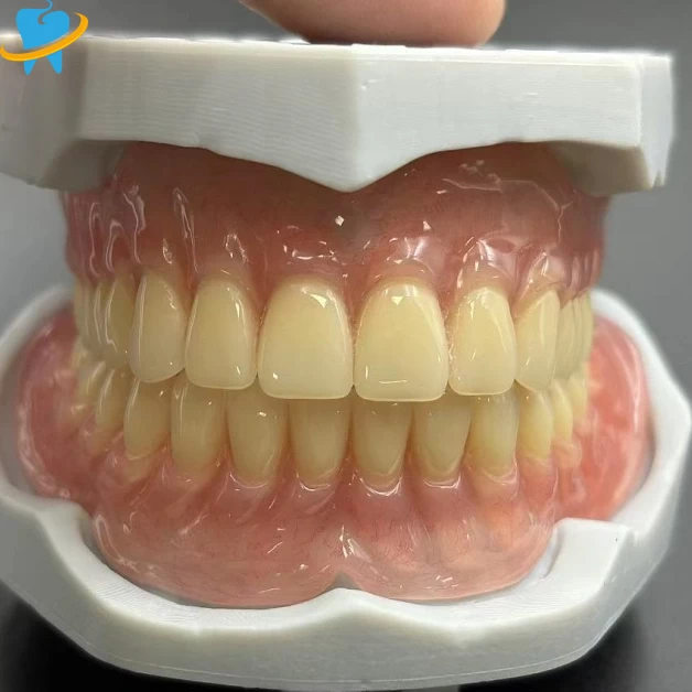 High Quality Removeable Full Acrylic Denture Manufacturer